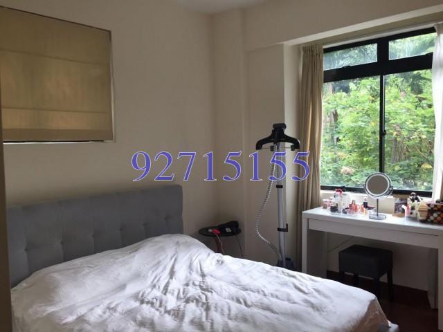 St. Thomas Court (D9), Apartment #137086812